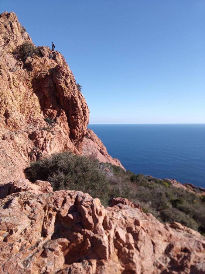 Frejus Plage, Appartement Entier , Piscine,Parking,Plage A 200M Eksteriør bilde