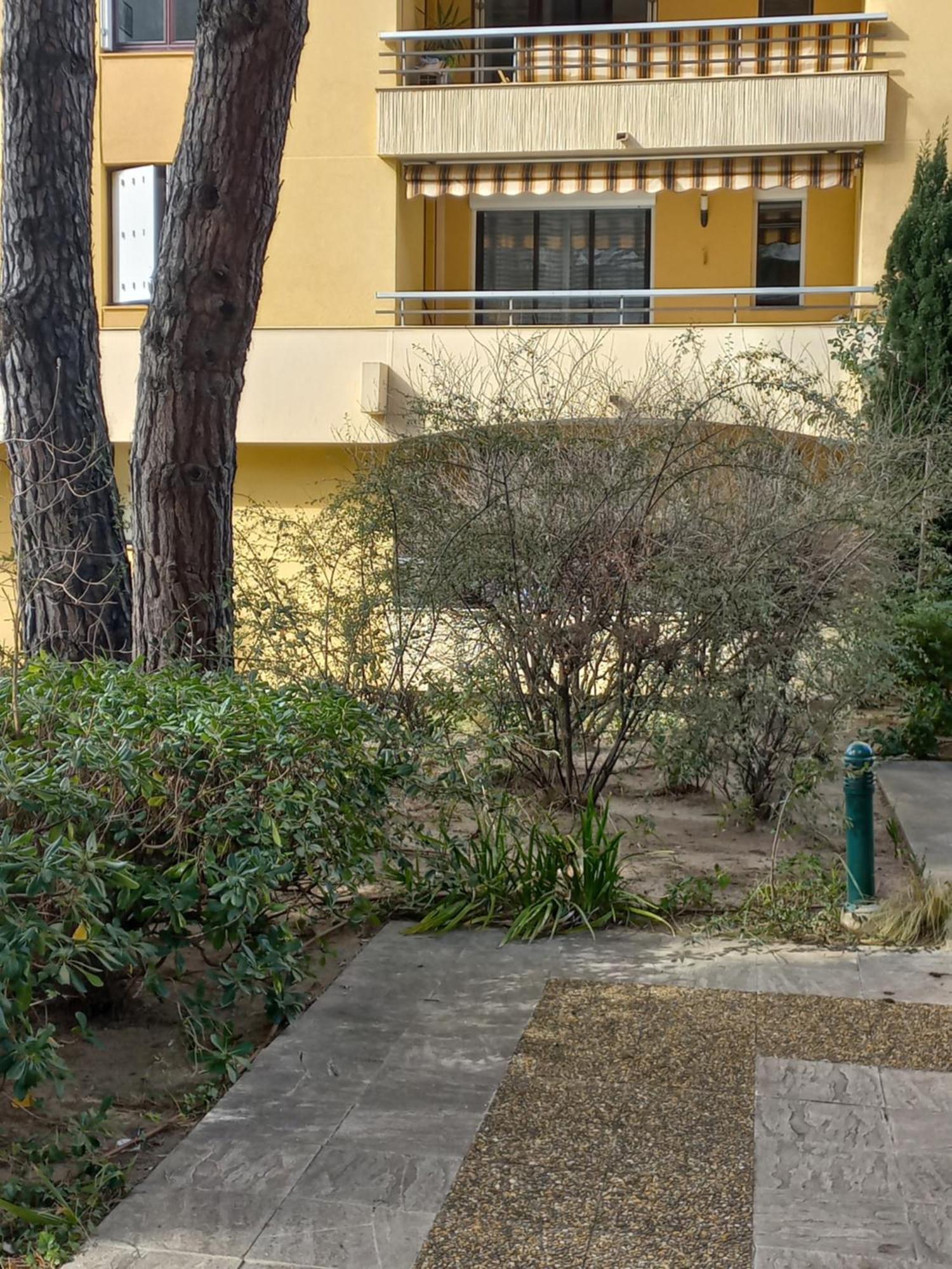 Frejus Plage, Appartement Entier , Piscine,Parking,Plage A 200M Eksteriør bilde